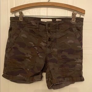 Anthropologie Brown and Green Cargo Shorts